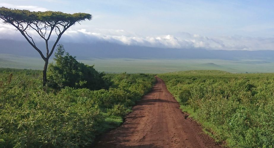 Tanzania Ngorongoro crater